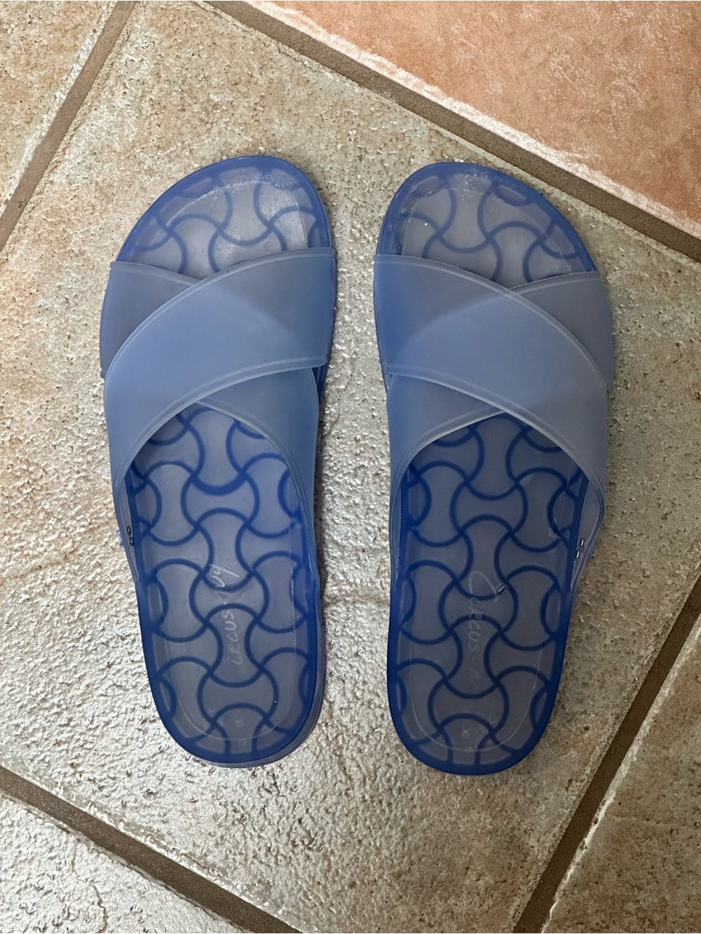 Circus by Sam Edelman Translucent Periwinkle Crisscross Slide Sandals